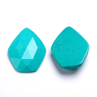 Dyed Faceted Natural Howlite Cabochons X-G-D763-02-1