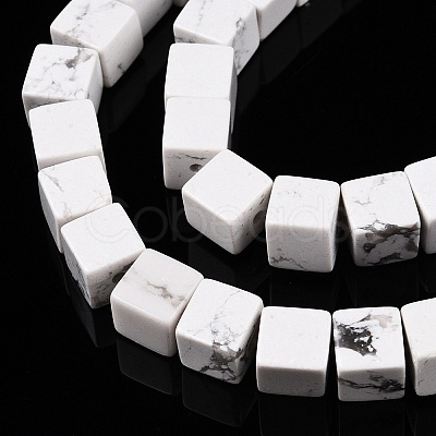 Natural Howlite Beads Strands G-T139-6x6-02A-1