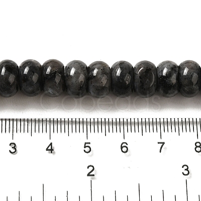 Natural Larvikite Beads Strands G-G102-C03-01-1