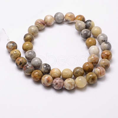 Natural Crazy Lace Agate Beads Strands X-G-D840-70-6mm-1