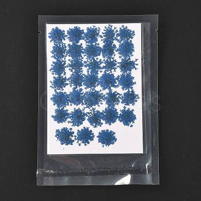 Pressed Dried Flowers DIY-K032-58J-1