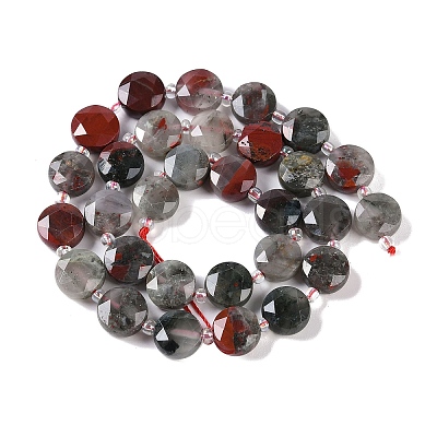 Natural African Bloodstone Beads Strands G-N342-12-1