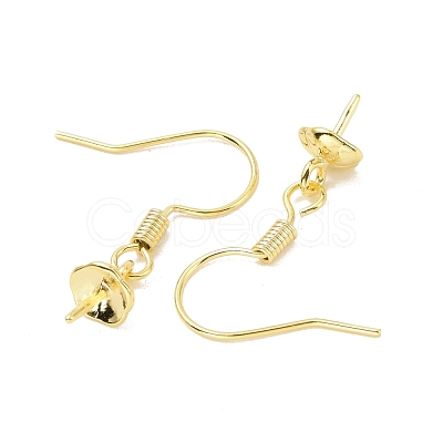 Rack Plating Brass Earring Hooks KK-F839-024B-G-1