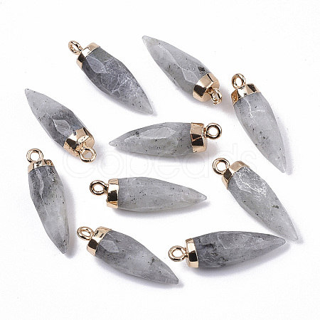 Top Golden Plated Natural Labradorite Pointed Pendants X-G-S359-078D-1
