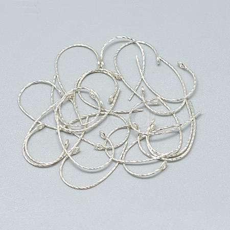 925 Sterling Silver Earring Hooks STER-T002-180S-1