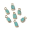 Synthetic Turquoise Rectangle Charms, with Golden Tone Brass Edge, 9.5x5x2.5mm, Hole: 2mm