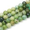 Natural Serpentine Beads Strands G-G829-06-10mm-1