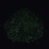 Luminous Glass Seed Beads SEED-A033-07B-5