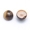 Natural Tiger Eye Cabochons X-G-P393-R25-10MM-2