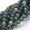 Natural Moss Agate Round Bead Strands G-N0120-30-4mm-1