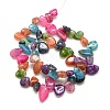 Natural Chips Crackle Agate Beads Strands X-G-P032-06-3