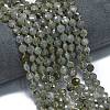 Natural Labradorite Beads Strands G-K389-B66-01-2