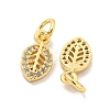 Brass Micro Pave Clear Cubic Zirconia Charms KK-Z044-25G-2