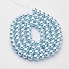 Glass Pearl Beads Strands HY-10D-B09-1