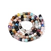 Natural Mixed Gemstone Beads Strands G-N342-127-2