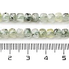 Natural Prehnite Beads Strands G-H042-A46-03-5