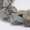 Raw Rough Natural Labradorite Beads Strands G-F403-12-3