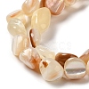 Natural Sea Shell Beads Strands SHEL-K006-16B-3