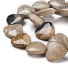 Natural Petrified Wood Beads Strands G-I194-19-2