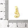 Rack Plating Brass Charms KK-C053-04G-C-3