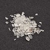 Natural Quartz Crystal Chips Beads G-L453-10-1