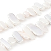 Electroplated Shell Pearl Beads Strands BSHE-C007-B01-01-1