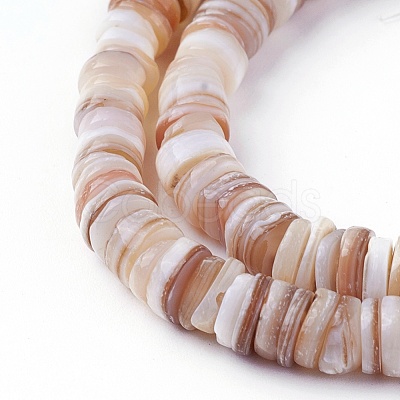 Shell Beads Strands SSHEL-E571-49D-1