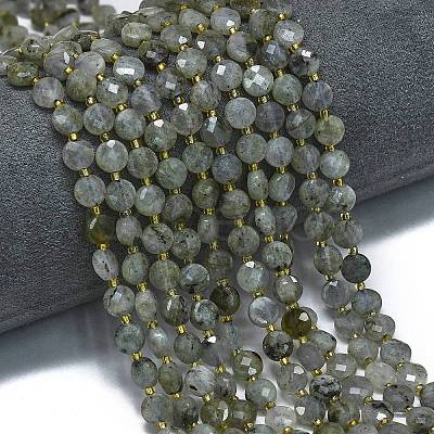 Natural Labradorite Beads Strands G-K389-B66-01-1