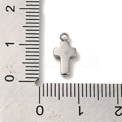 Non-Tarnish 304 Stainless Steel Charms STAS-L022-263P-1