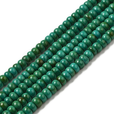 Natural Howlite Beads Strands G-B049-C01-01B-1