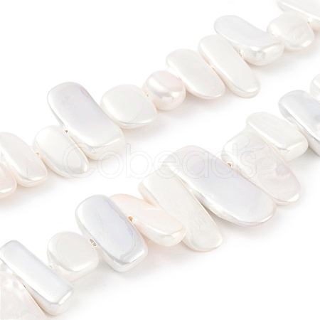 Electroplated Shell Pearl Beads Strands BSHE-C007-B01-01-1