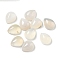 Natural White Agate Gemstone Cabochons, Teardrop, 10.5x8x4mm