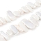 Electroplated Shell Pearl Beads Strands, White, Nuggets, 7~11x9~30.5x3~6mm, Hole: 1.2mm, about 45pcs/strand, 15.75~16.26 inch(40~41.3cm)