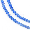 Transparent Glass Beads Strands GLAA-N041-009-13-3