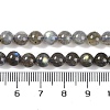 Grade AA Natural Gemstone Labradorite Round Beads Strands G-E251-33-6mm-01-8