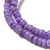 Dyed Natural Freshwater Shell Beads Strands BSHE-G039-07B-3