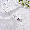 925 Sterling Silver Zircon Pendant Necklace 12 Constellation Pendant Necklace Jewelry Anniversary Birthday Gifts for Women Men JN1088K-3