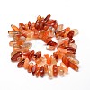 Dyed Natural Red Agate Chip Beads Strands G-E271-03-2