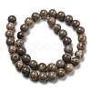 Natural Map Stone/Picasso Stone Beads Strands G-R494-A24-04-2
