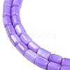 Natural Freshwater Shell Beads Strands BSHE-H109-17C-4