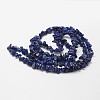 Natural Lapis Lazuli Beads Strands G-F328-29-2