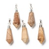 Natural Picasso Jasper Pendants G-P445-E04-1