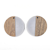 Resin & Walnut Wood Pendants RESI-T023-15A-2