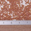 MIYUKI Delica Beads Small X-SEED-J020-DBS0866-4