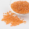Glass Seed Beads X-SEED-A006-3mm-109-1