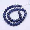 Frosted Round Natural Lapis Lazuli Beads Strands X-G-D743-8mm-2