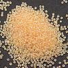 6/0 Glass Seed Beads X-SEED-J012-F6-102-2