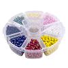 Mixed 6/0 Round Glass Seed Beads SEED-PH0001-05F-2