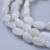 Natural White Moonstone Beads Strands X-G-P433-16-3