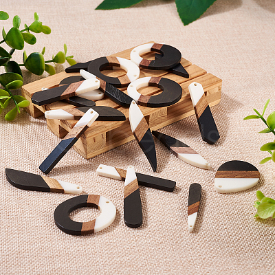 20Pcs 10 Styles Opaque Resin & Walnut Wood Pendants RESI-TA0001-65-1